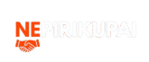 nepirikupai.lt